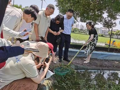 寻梦拾光探古城环保实践显担当——寻梦拾光队开展怀远县古城镇环境调研